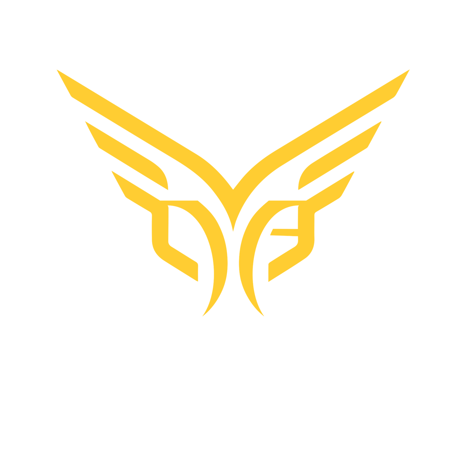 Noob Alliance